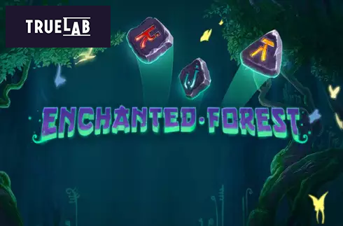 Enchanted Forest